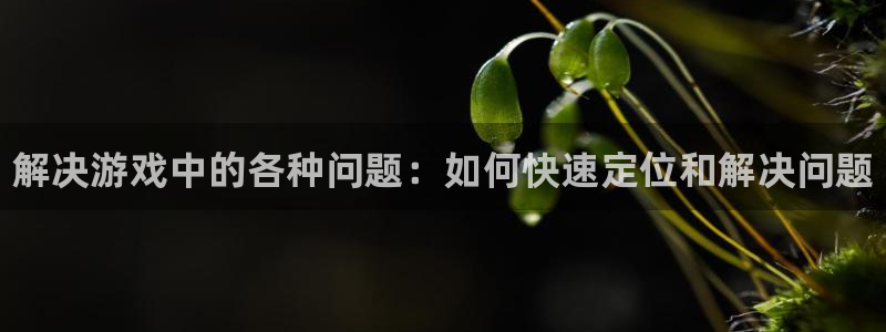 鼎点娱乐2首页登录：解决游戏中的各种问题：如何快速定位和解决