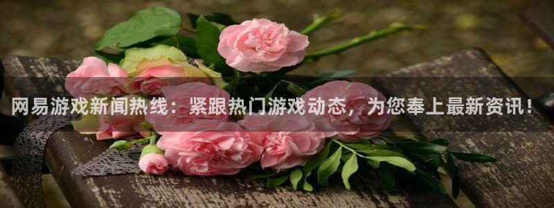 鼎点娱乐登录地址：网易游戏新闻热线：紧跟热门游戏动态，为您奉
