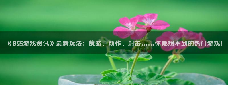 鼎点娱乐集团：《B站游戏资讯》最新玩法：策略、动作、射击……