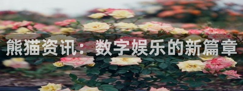 鼎点娱乐app：熊猫资讯：数字娱乐的新篇章