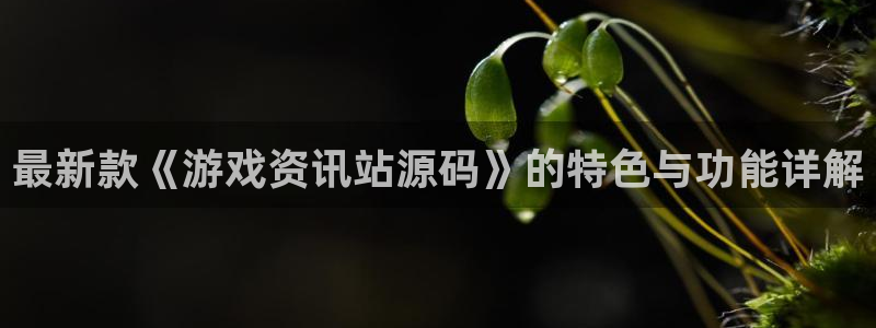鼎点娱乐：最新款《游戏资讯站源码》的特色与功能详解