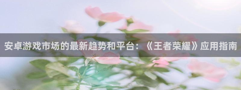 鼎点投资：安卓游戏市场的最新趋势和平台：《王者荣耀》应用指南