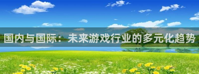 鼎点娱乐非 411o31 鼎点：国内与国际：未来游戏行业的多
